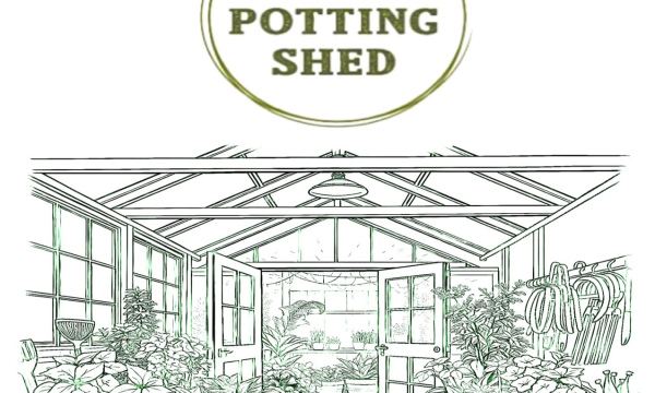 Mermaid In The Potting Shed